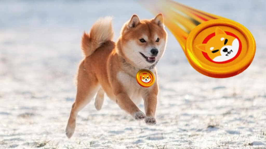 What is the burn rate of Shiba Inu? 