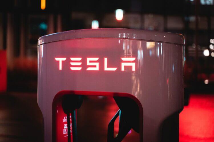 Optimus, Elon Musk's News Tesla Bot to Be Released This Year