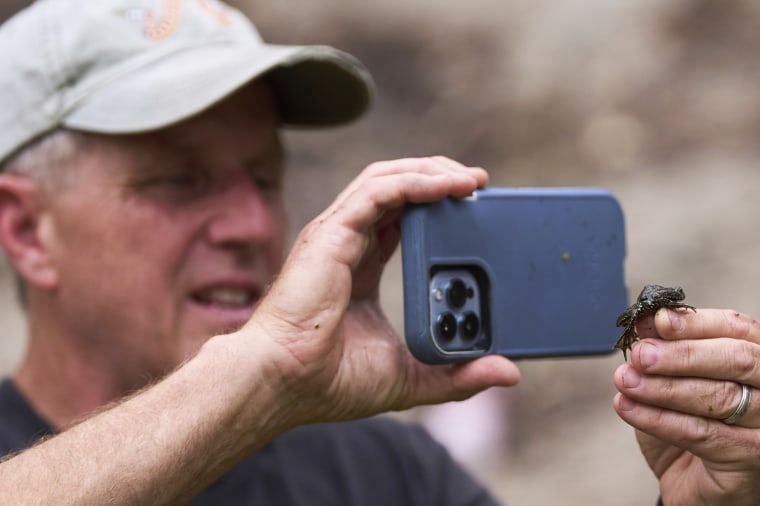 A man taking a photo on an iPhone of a a red-legged froglet sitting on his hand